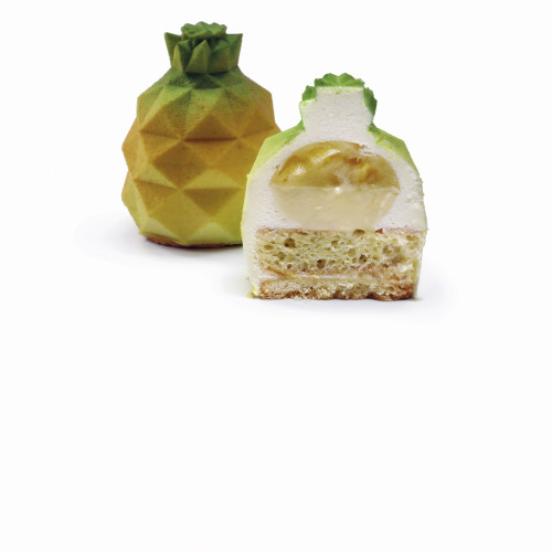 Pineapple Ananas forma...
